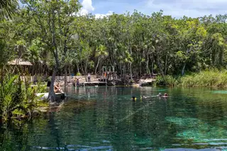 Swimming and
  snorkeling at Cenote Corazón