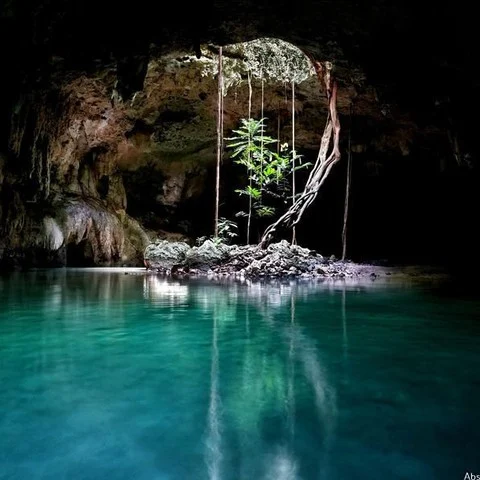 Discover Sac Actun Cenote 💙 Part of one of the world's longest underwater cave systems, Sac Actun offers a truly unique cenote experience. Swim through crystal-clear waters surroun…