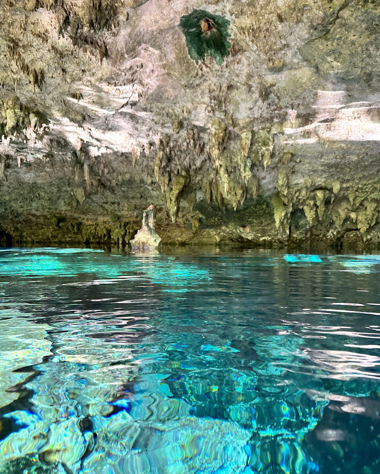 Clear turquoise water inside a Riviera Maya cave cenote