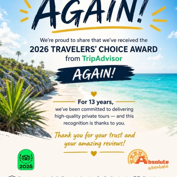 Another year, another recognition 🎉 We’ve once again received the Travelers’ Choice Award 2026 from Tripadvisor. For 13 years, your feedback has kept us among the top-rated experie…