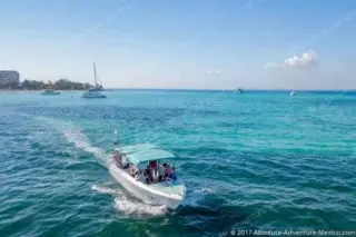 isla mujeres - whale sharks tour