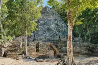 Coba Express tour jungle surroundings