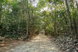 Walking and biking paths at Coba private tour