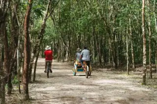 Rickshaw ride at
  Coba archaeological site