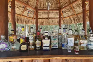 Palapa bar with
  tequila and mezcal bottles