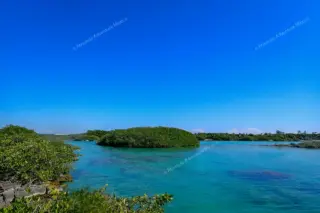 Mangrove islands
  landscape at Yal Ku lagoon