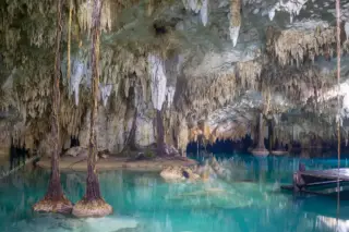Cenote tours
  Riviera Maya Pet Cemetery cave roots and formations