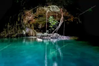 Cenote tours
  Riviera Maya iconic Pet Cemetery Sac Actun chamber