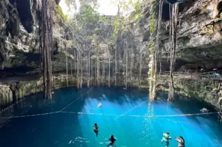 Cenote Oxman with
  tree roots and swimmers