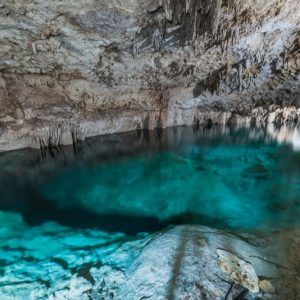 Cenote Pet Cemetery