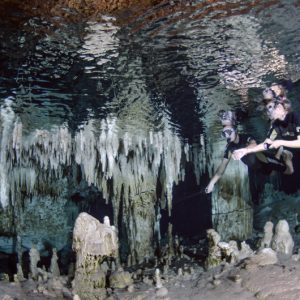 Cenote Pet Cemetery