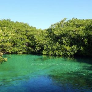 Casa cenote