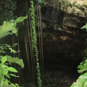 Cenote Chakalhaa