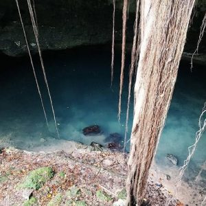 Cenote De Francisco I. Madero