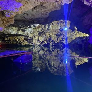 Cenote Del Armadillo (cenote Xweech)