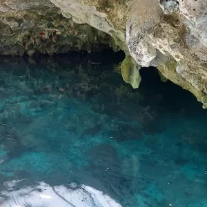 Cenote El Toh