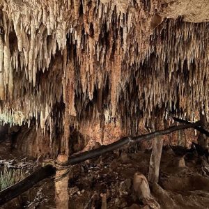 Cenote Grutas Y Cenote La Candelaria