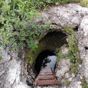 Cenote Hol Ha