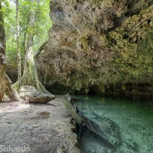 Cenote Isla Alamos