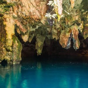 Cenote LA Noria