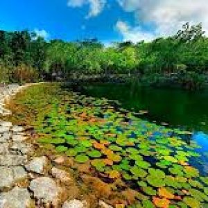 Cenote Las Mojarras