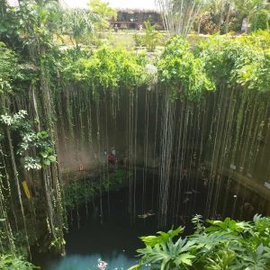 Cenote Local