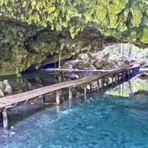 Cenote Monkey Dust