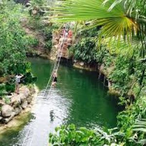 Cenote Orquidea Cenote