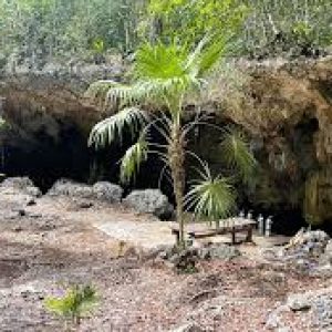 Cenote Outland