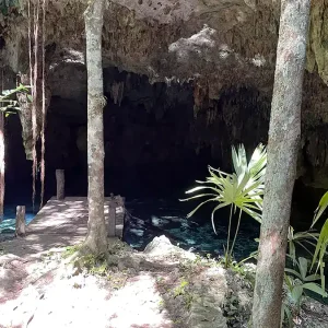Cenote Pedrin Fenomeno