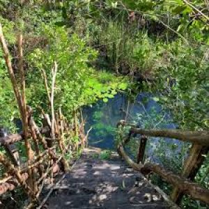 Cenote El Quetzal