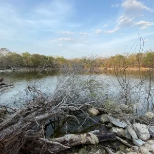 Cenote Sabacala