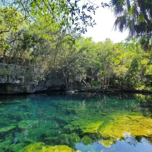 Cenote X Tabay