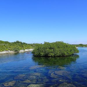 Cenote Yal-Ku