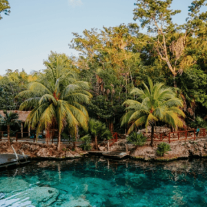 Cenote Casa Tortuga