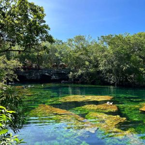 Cenote Jardin Del Eden