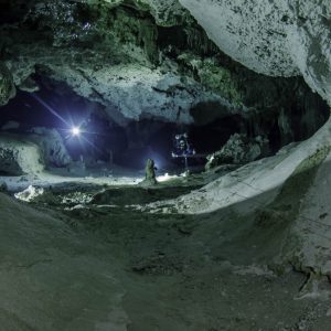 cenote dream gate