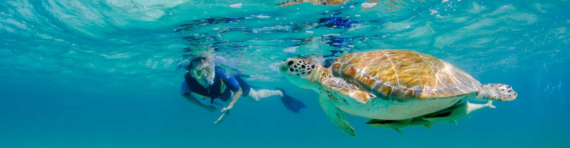 akumal-turtle-snorkeling